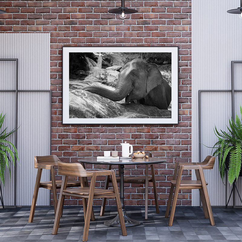 COLLECTION - GIANTS OF THE LAND HORIZONTAL - "Rest Moment" - LIMITED EDITION 10 of 10