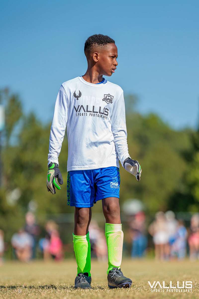 8U Sounders Fall Season