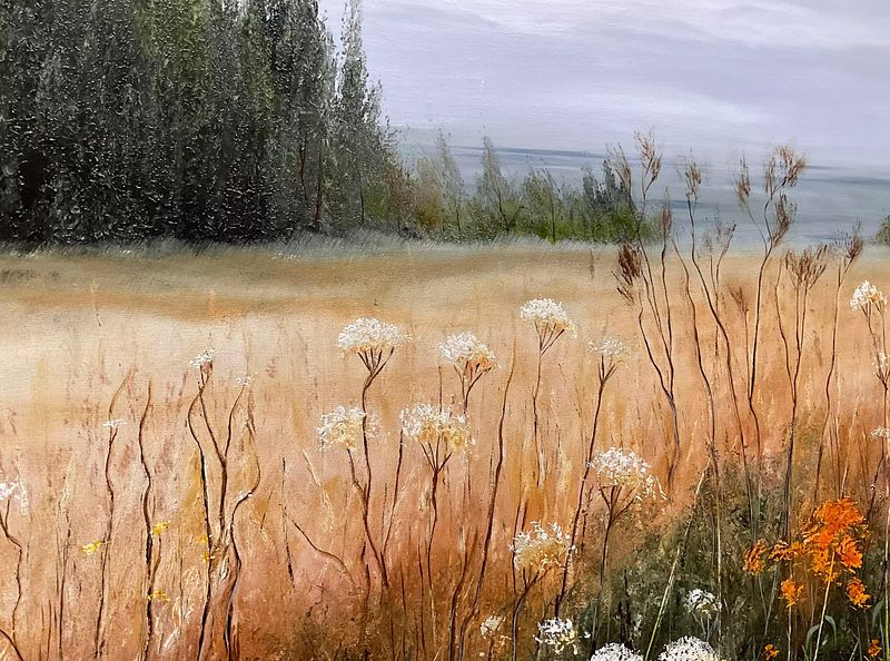 Wildflowers of the Northern Meadow
