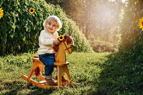 Mini Sessions