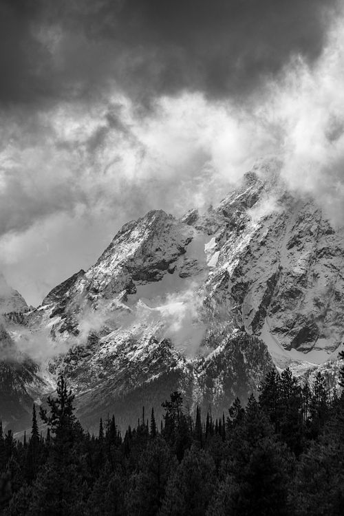 Fine Art Prints