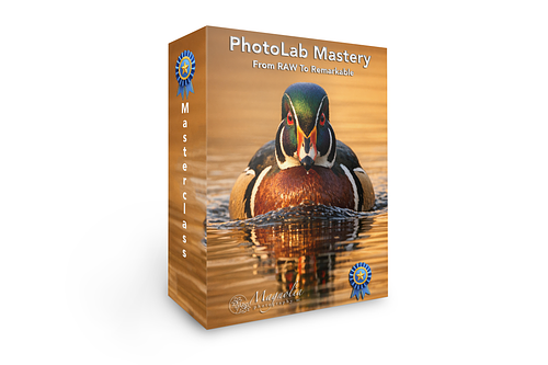 Photolab Mastery:  From RAW To Remarkable
