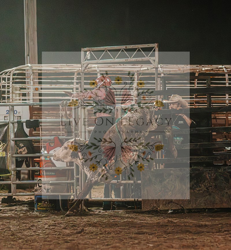 JR Bull riders
