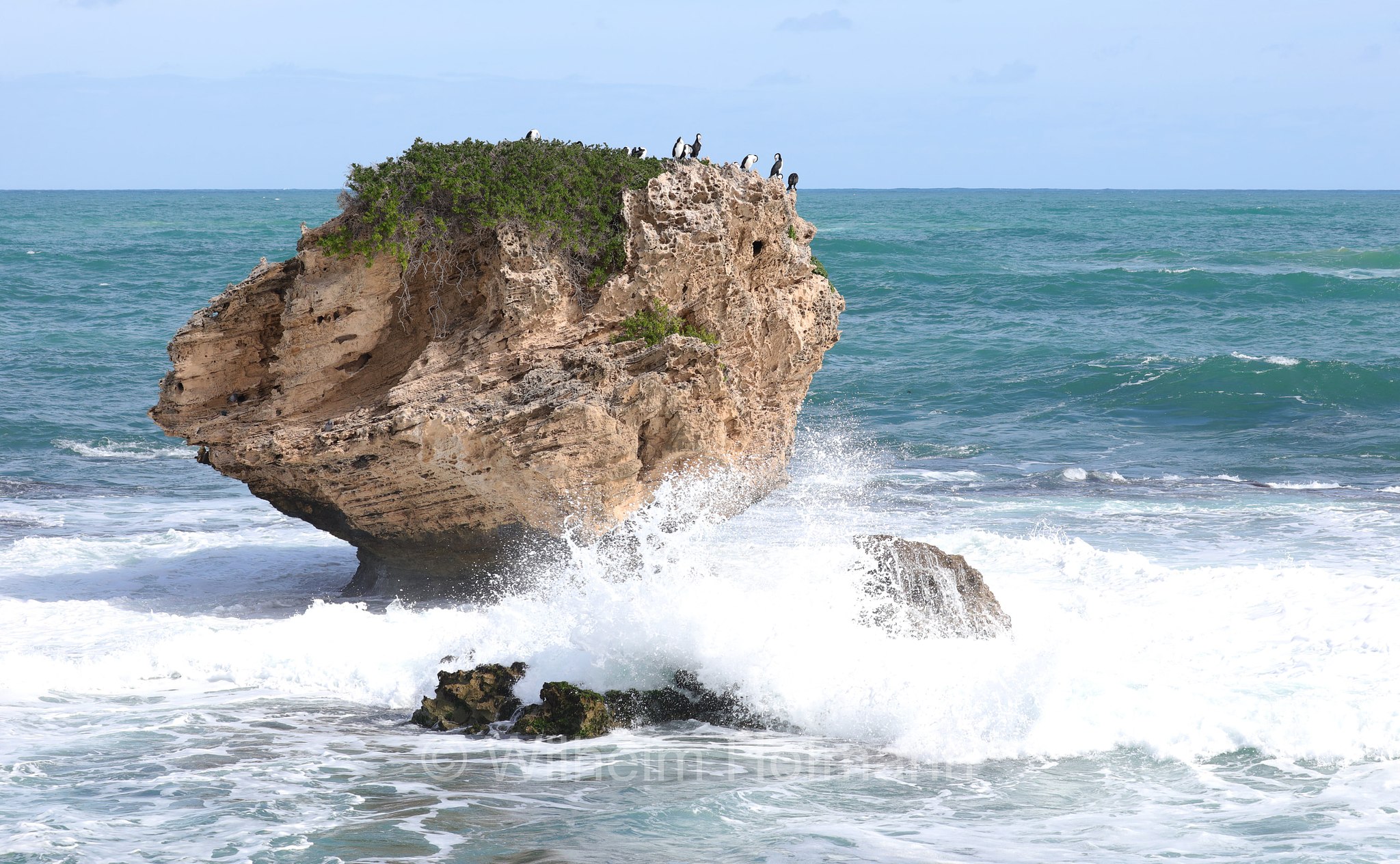 Mushroom Rock, Cape Peron, Point Peron, Western Australia, Westaustralien, Australia Occidentale, Australia, Australien