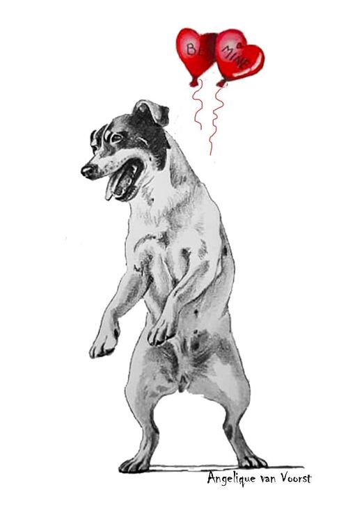 Black and white pencil drawing of a Bodeguero Andaluz standing on hind legs and playing with a red heart-shaped balloon