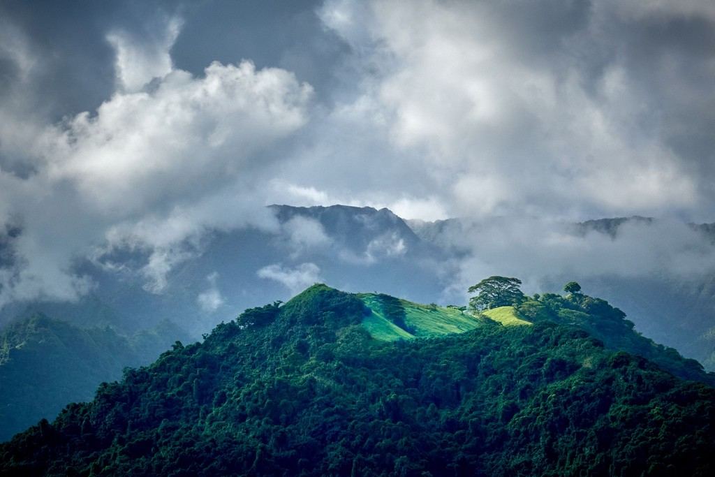 Hawaii and Pacific Islands