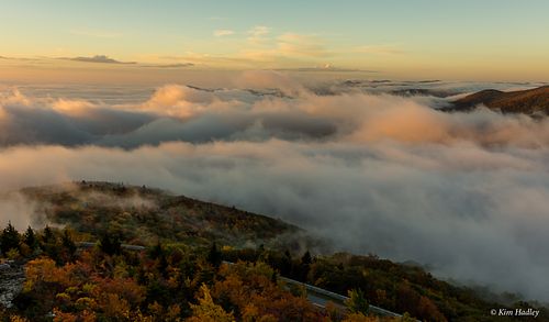 "Sea of Fog"