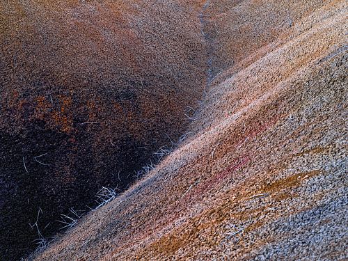 New Mexico