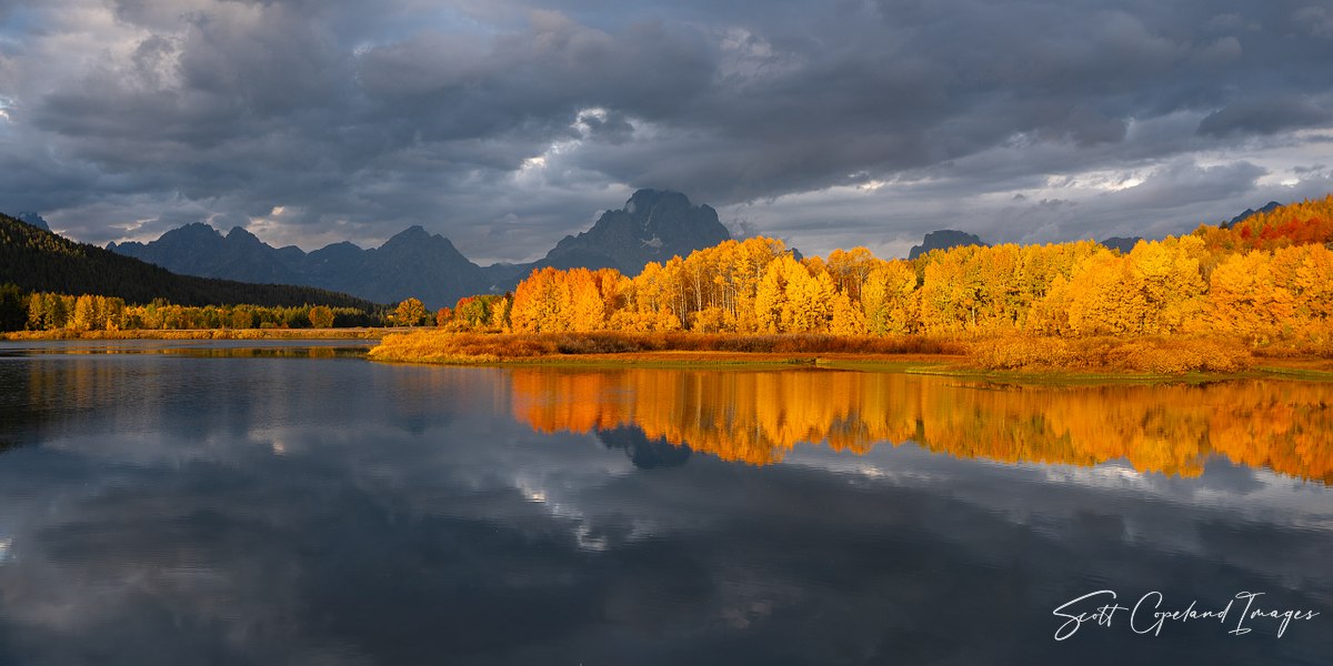 Golden Reflection