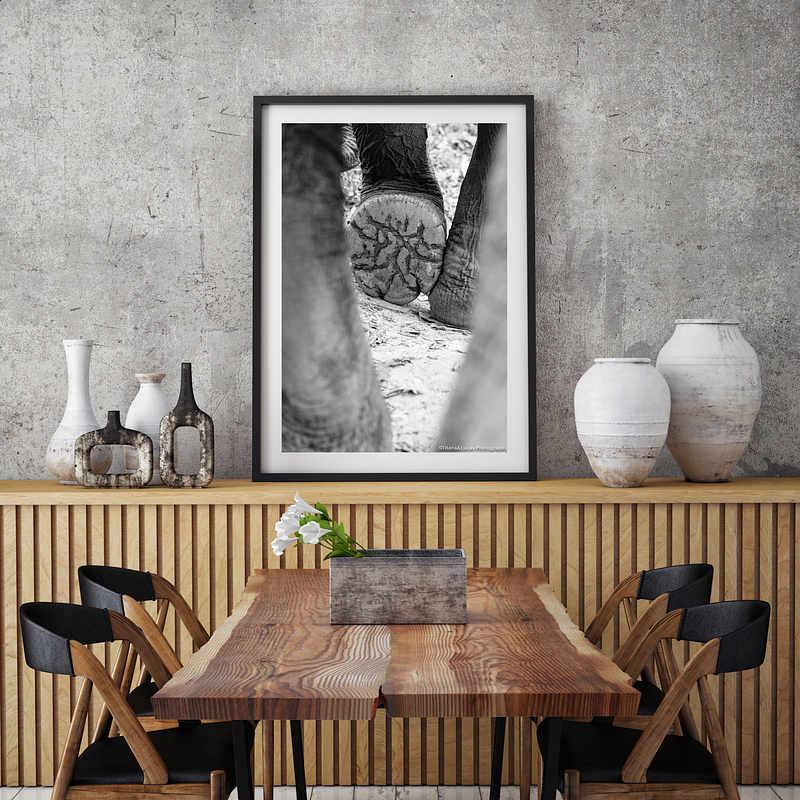 COLLECTION - GIANTS OF THE LAND VERTICAL - "What Carries Her" - LIMITED EDITION 10 of 10