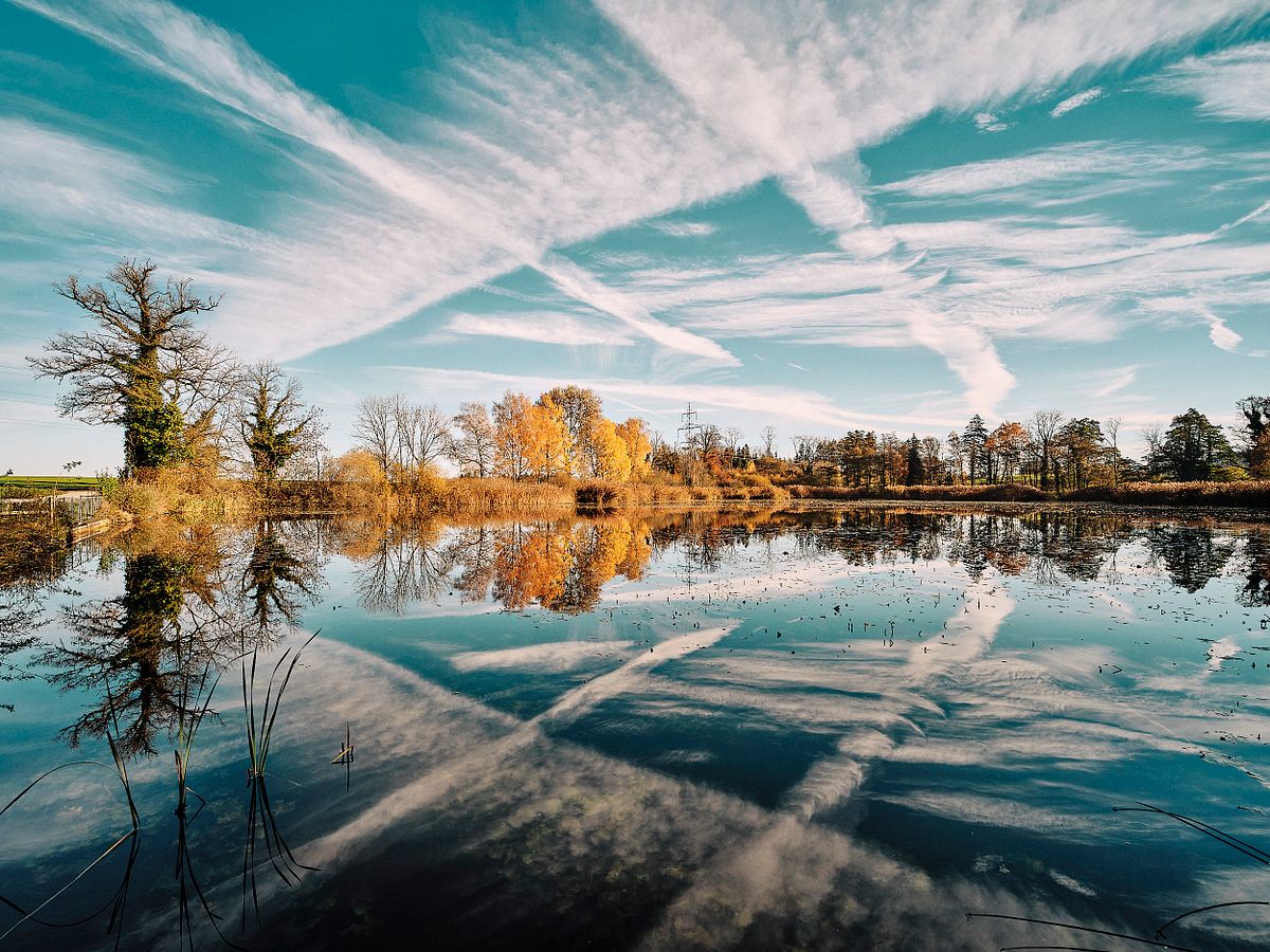 Reflexion im Herbst im Heurüti-Weiher Hofstetten