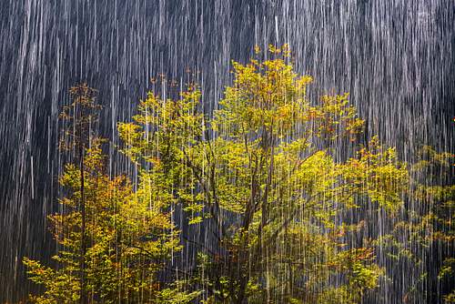 Water and Light