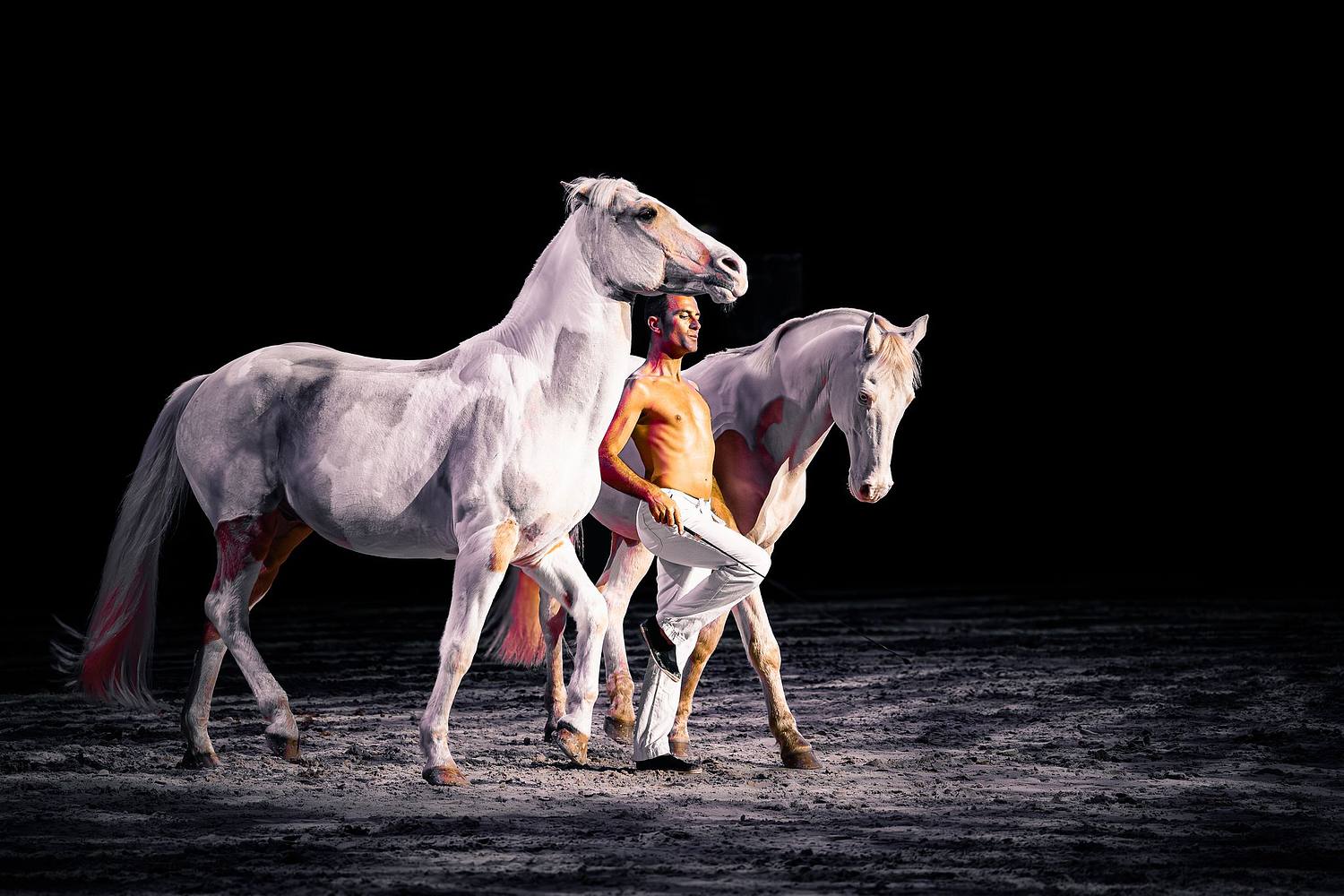 Jordan GRIS