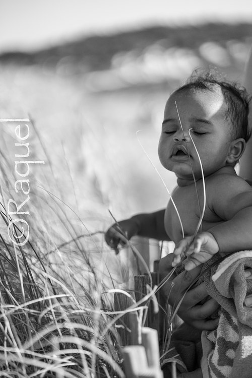 bébé qui sent le vent entre les herbes marines