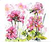 Pink Geranium - Illustration Wall Art Print - Pen and Wash - Garden Flowers