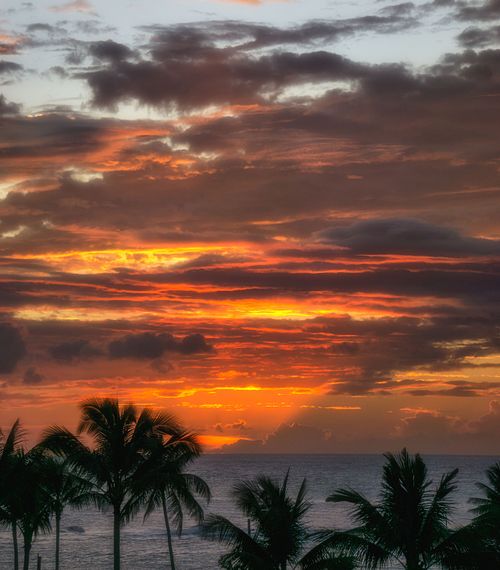 Skies, sunrise, sunset, dessert, Poipu, surf, ocean, waves, Kauai, Hawaii, dawn, dusk, vast, travel, nature, landscape, clouds, sun rays, adventure, Pacific