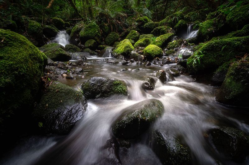 Streams & Falls