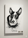 Pack Edição Galeria