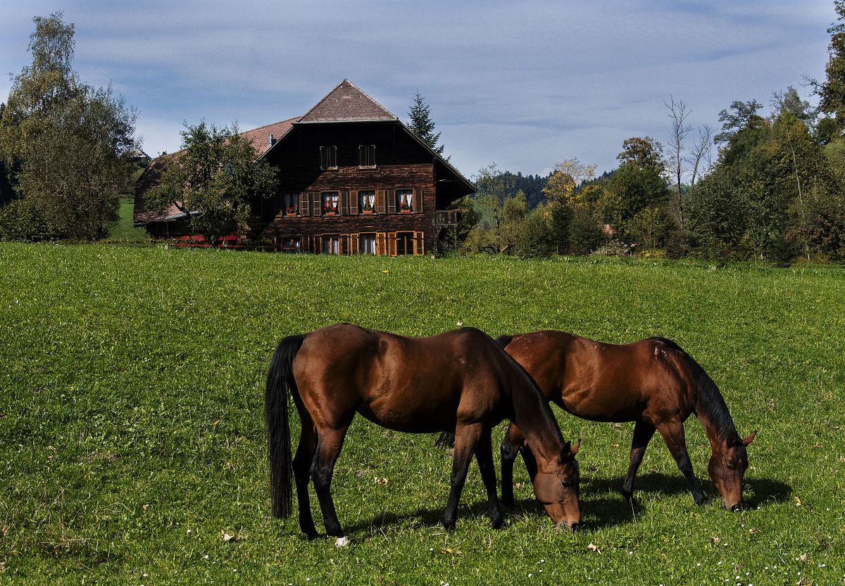 Kapelle Wilder Geschinen