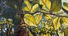 1summer painting series: Card Set of 4