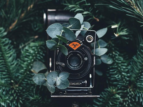 Green Story