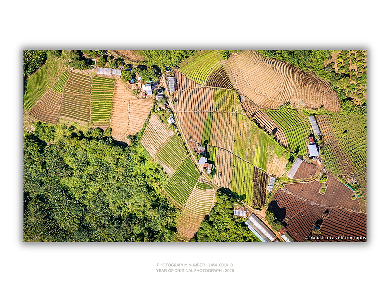 COLLECTION - FROM ABOVE HORIZONTAL - "The Farmed Patchwork" - LIMITED EDITION 10 of 10
