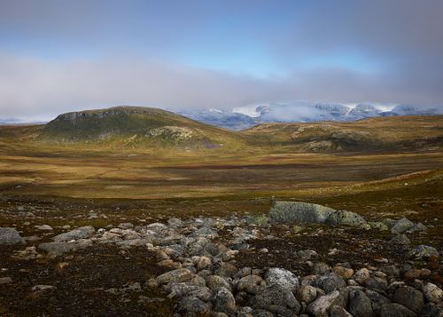 Colors of Hardangervidda