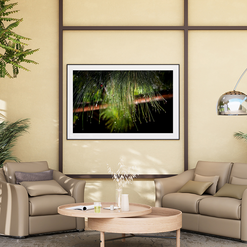 THE ONE - WILDLIFE & NATURE - "Green Chandelier" - LIMITED EDITION 4 of 5