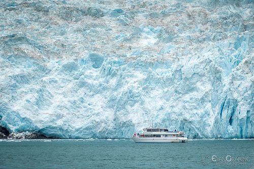 Kenai Fjords Tour Boat