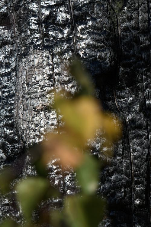 After the Fire