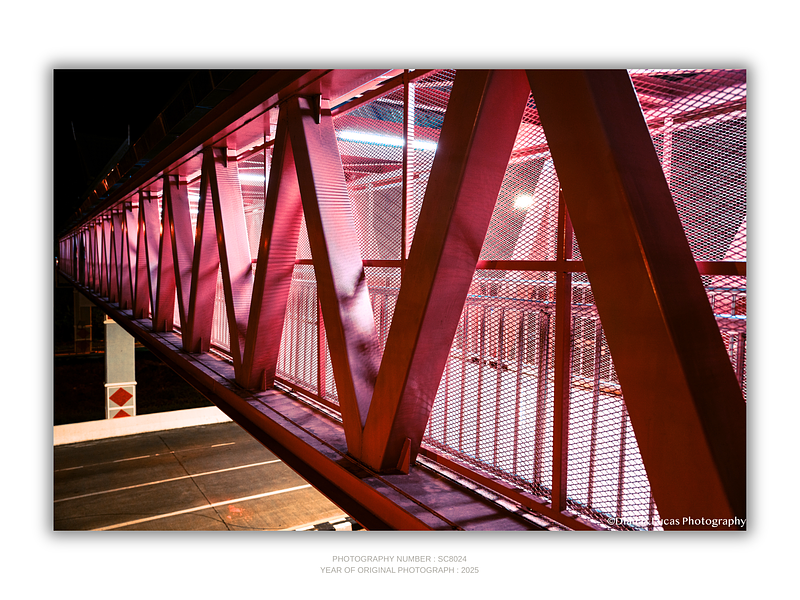 THE ONE - LINES & SHAPES - "Steel in Pink" - LIMITED EDITION 5 of 5