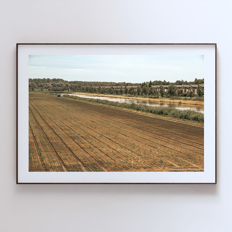 THE ONE - LINES & SHAPES - "Straight Lines" - LIMITED EDITION 5 of 5