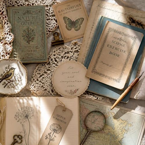 HOMESCHOOL FINDS