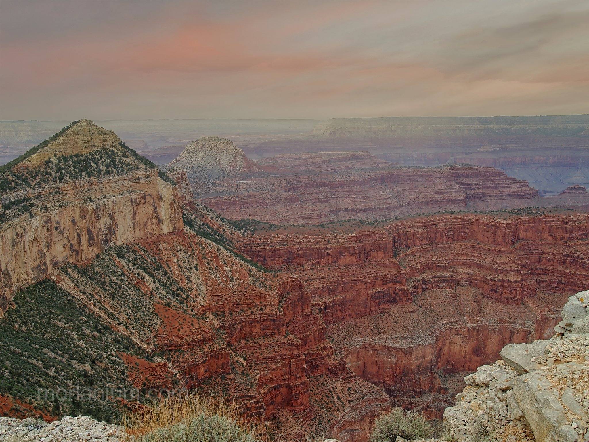 Arizona