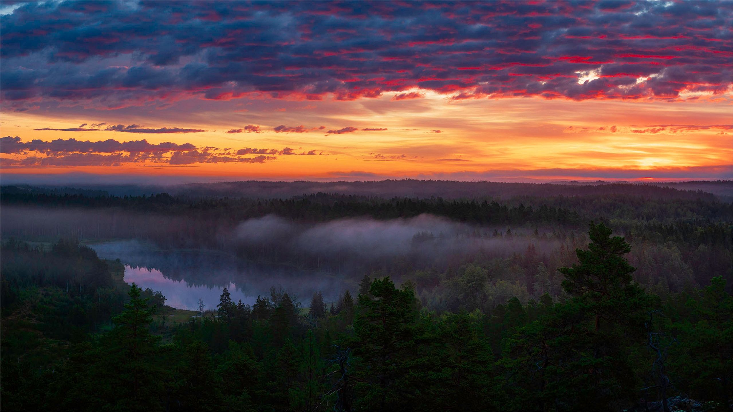 Landscape