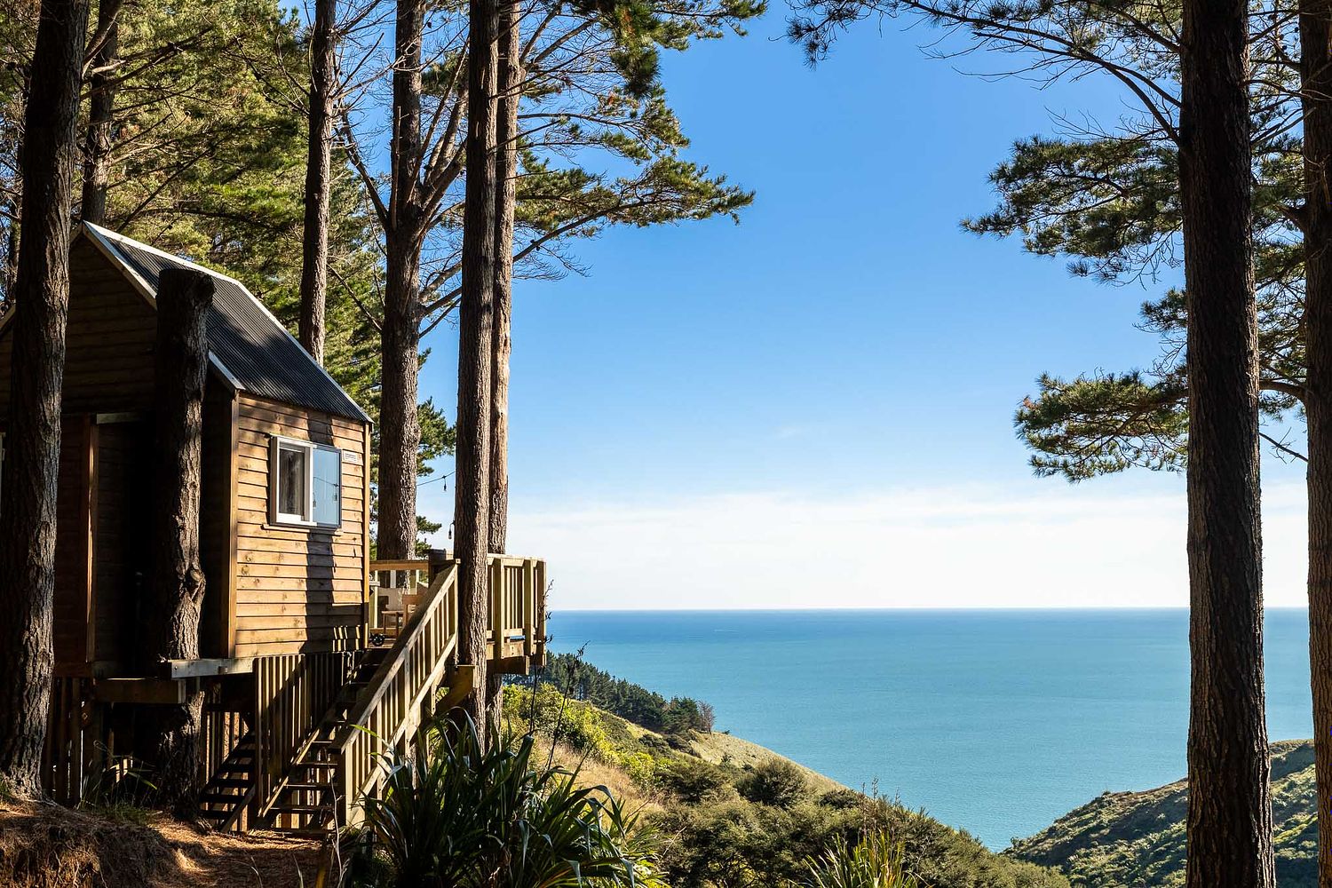 Architectural exterior photography of the iconic Raglan Treehouse cabin showing timber construction and expansive ocean views, captured by Flax Cove Studio