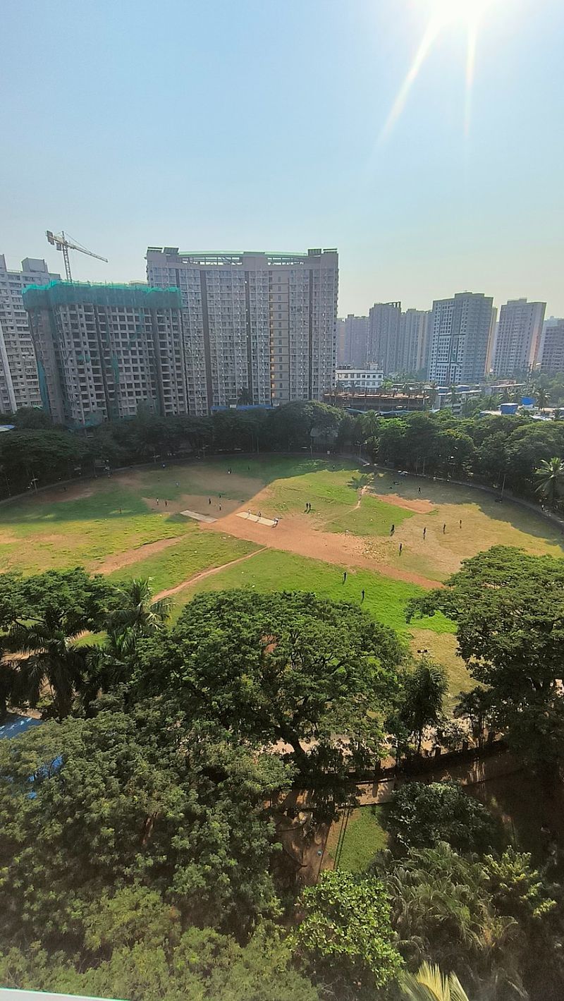 The Ground That Remembers