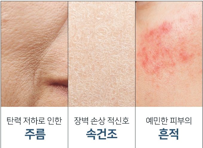 FABYOU Stem Cell Peptide Retinol Night Cream 50m
