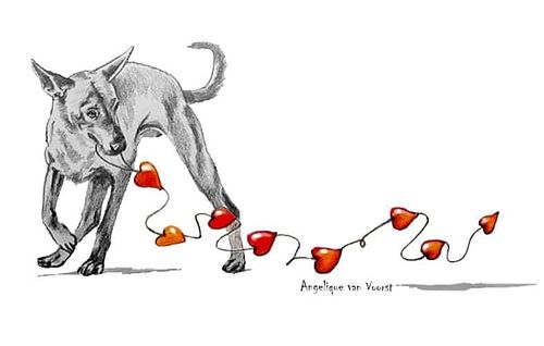 Black and white pencil drawing of a Podenco playing with a heart garland