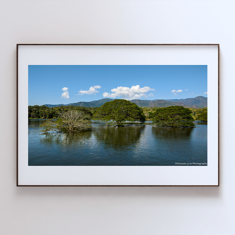 THE ONE - AERIAL PRINTS - "Standing in Water" - LIMITED EDITION 5 of 5