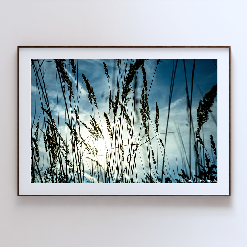 THE ONE - WILDLIFE & NATURE - "Field Level" - LIMITED EDITION 4 of 5