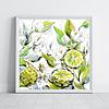 Bergamot Fruit And Flowers | Botanical Art Print