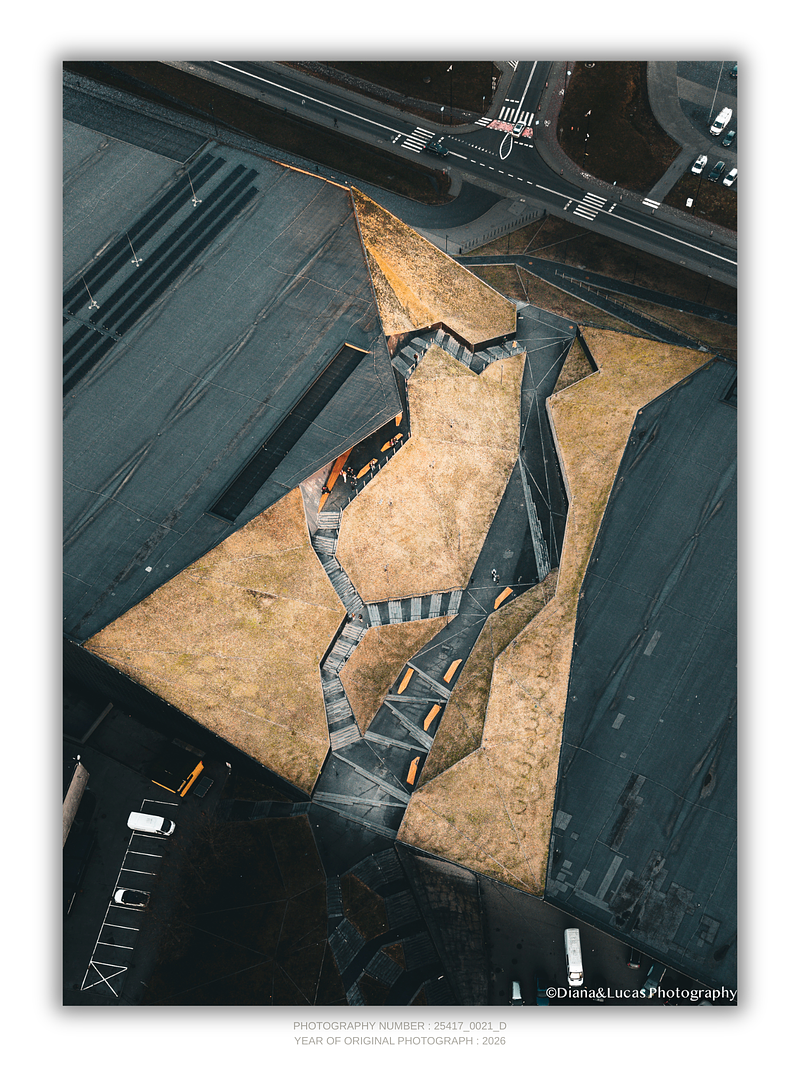 COLLECTION - FROM ABOVE VERTICAL - "The Sharp Garden" - LIMITED EDITION 10 of 10
