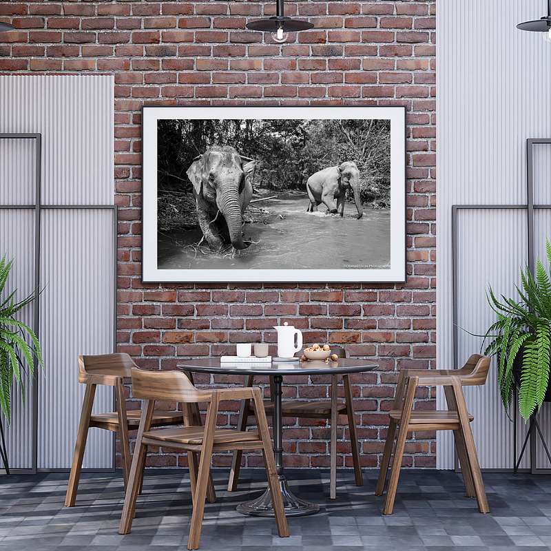 COLLECTION - GIANTS OF THE LAND HORIZONTAL - "River Play" - LIMITED EDITION 10 of 10