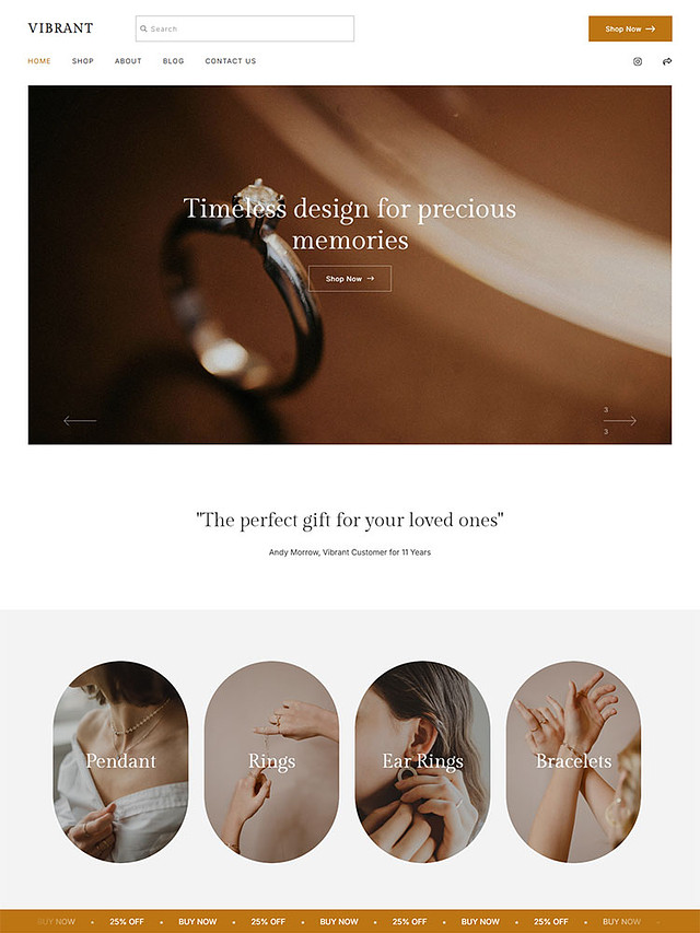 Vibrant - Pixpa Portfolio Website Templates
