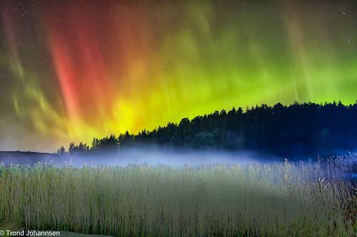 Nordlys, Sarpsborg, Tunevannet, Trond johansen