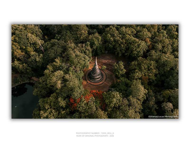 THE ONE - QUIET ICONS - "Jungle Temple" - LIMITED EDITION 5 of 5