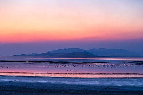 Land & Water