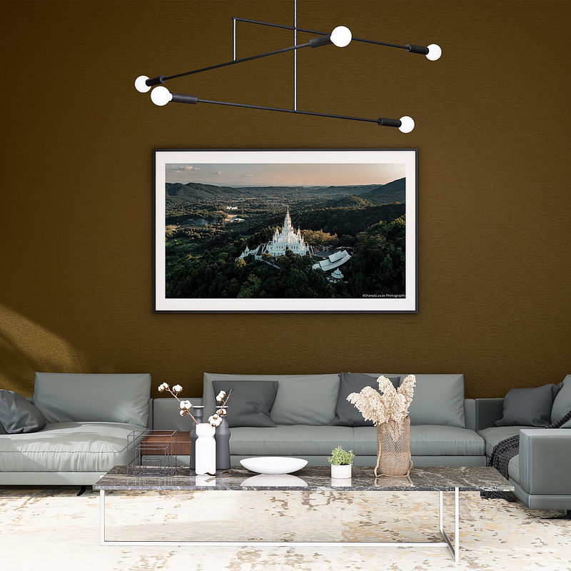 COLLECTION - FROM ABOVE HORIZONTAL - "White and Proud" - LIMITED EDITION 10 of 10