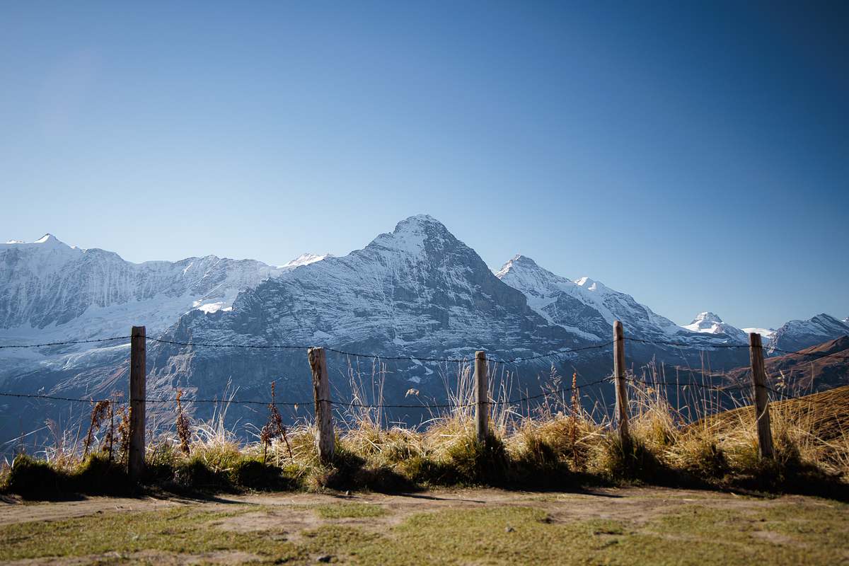 Blick durch einen verwitterten Stacheldrahtzaun mit Holzpfosten auf eine Reihe schneebedeckter Berggipfel unter klarem blauem Himmel, goldbraunes Alpgras im Vordergrund